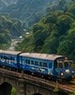 Araku