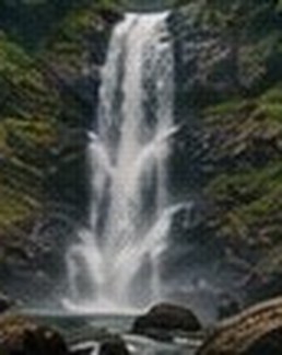 Coorg