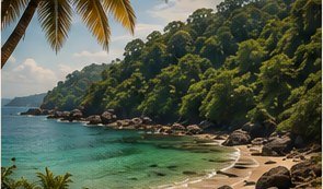 Hidden Beaches