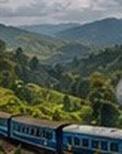 Ooty