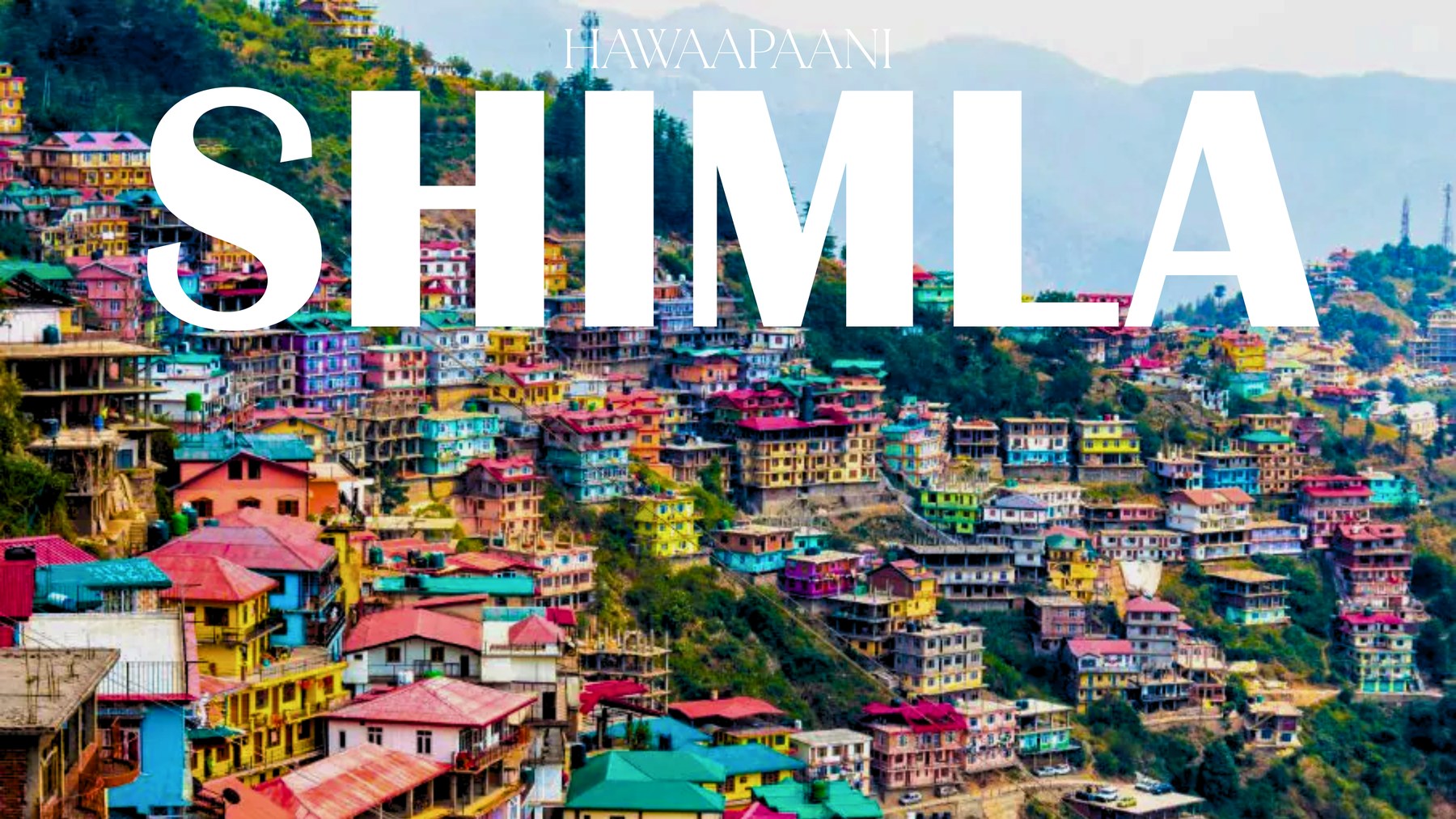 Shimla