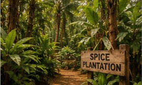 Spice Plantations